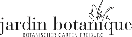 logo-bogafri_s
