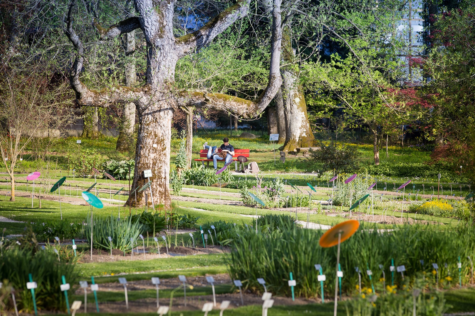Botanischer Garten